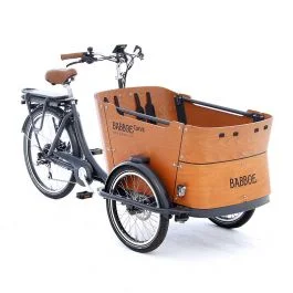 Curve-E (3-wheel, electric)